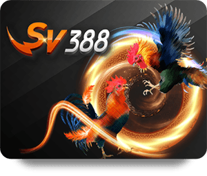 BK8 Casino Live Review: Games, Bonuses, and User Feedback